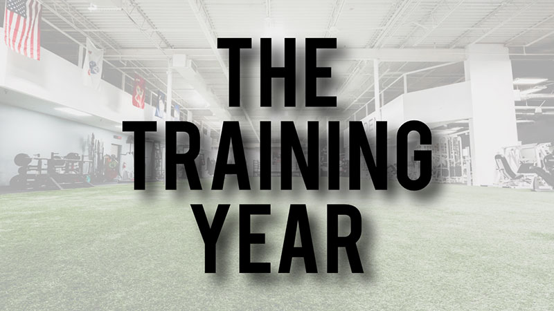 The Training Year