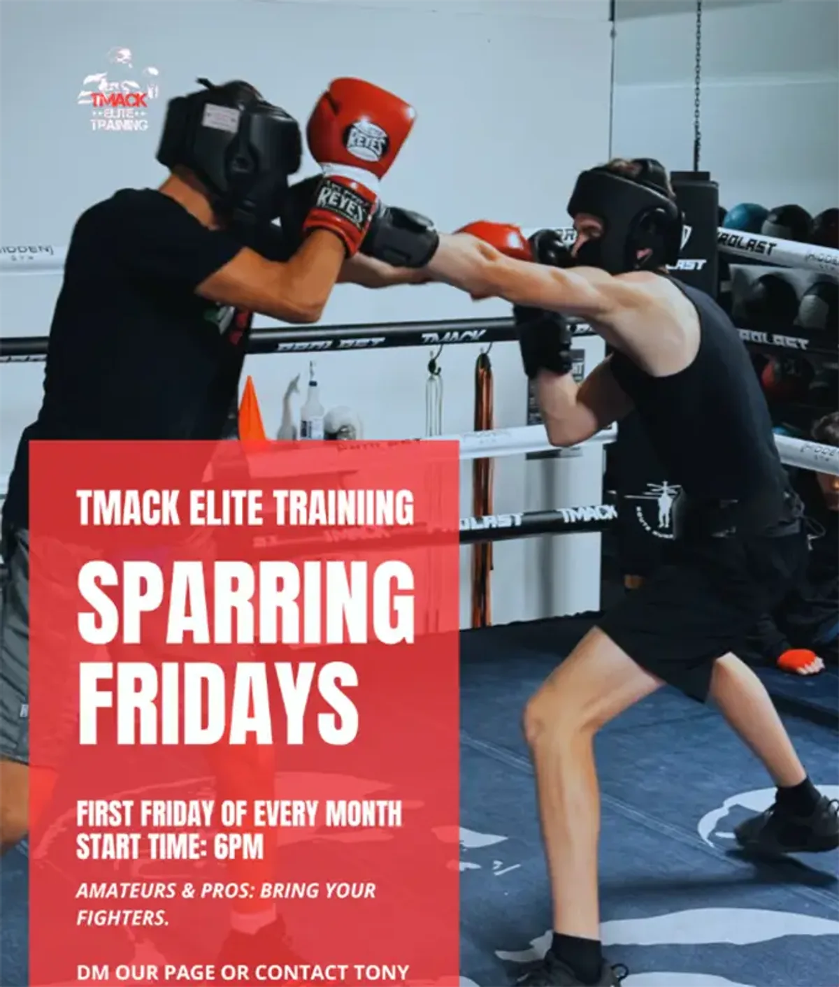 Tony Mack — Head Boxing Coach · T Mack Elite Training