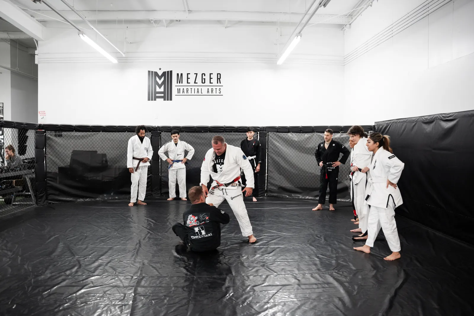 Mixed Martial Arts Training
