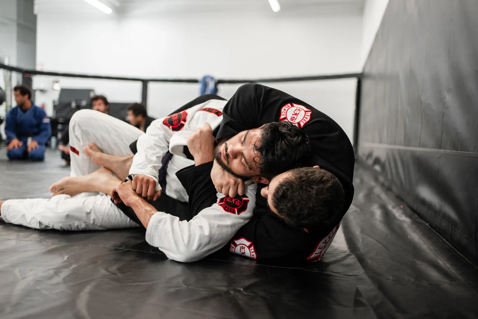 MMA